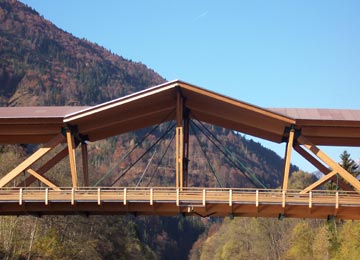 bridge and mountain