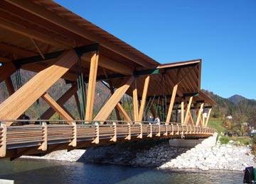wooden bridge