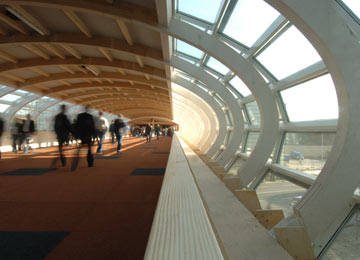 showing the curved timbers from inside